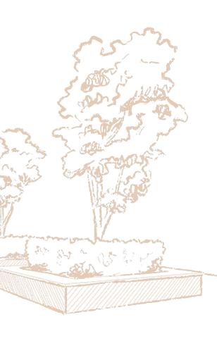 Untitled_Artwork 51 2 (2)